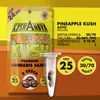Kushanova Saatgut Set - Pineapple Kush Produktbild-Vorschau 1