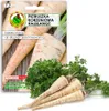 Petržel poloraná 6m páska Pozdní odrůda s vysokými výnosy Náhled obrázku produktu 3