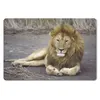 MuchoWow® Schreibtischunterlage Löwe - Afrika - Tier 60x40 Produktbild-Vorschau 1