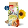 PANTO Sonnenblumenkerne geschält – 25 kg Vogelfutter Produktbild-Vorschau 1