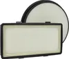 vhbw 2-tlg. Filter-Set kompatibel mit Rowenta RO7686EA/411, Produktbild-Vorschau 1