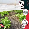 KOTARBAU® Velo da giardino per piante 17 G/M2 1,1 X 5 M PP Anteprima dell’immagine prodotto 7