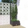 vidaXL Garten-Pflanzgefäß mit Spalier Schwarz 40 x 40 x Produktbild-Vorschau 2