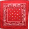 Bandana Tuch Paisley Muster 02 rot weiß quadratisches Produktbild-Vorschau 1
