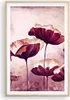 Gerahmtes Poster - Rahmen in heller Eiche - Mohn Blume Produktbild-Vorschau 1