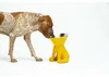 United Pets Elizabeth, Cane, Plastica, Acciaio Anteprima dell’immagine prodotto 2