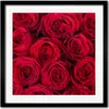Bild - 50 cm x 50 cm - MDF - Rahmen, Wandkunst - Rosen Produktbild-Vorschau 1