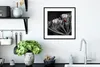 MuchoWow® Gerahmtes Poster Schwarz-Weiß-Foto eines roten Produktbild-Vorschau 4