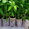 Vrecká na pestovanie sadeníc (100 ks) Náhľad obrázku produktu 5