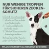 noms+ Zpot-on für Hunde 50ml mit Niem, Geranienöl, Kokosöl Produktbild-Vorschau 10