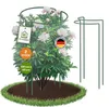 TTL GARDEN Strauchstützen 120x40cm 2er Set Pflanzenstütze Produktbild-Vorschau 1