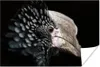 MuchoWow® Poster Vogel - Schnabel - Federn 90x60 cm - Produktbild-Vorschau 1