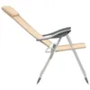 The Living Store Klappbare Campingstühle 4 Stk. Aluminium Produktbild-Vorschau 6