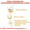 Diagrams illustrating the benefits of the dog food. Anteprima dell’immagine prodotto