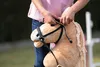 HKM Browbands Hobby Horsing Set da 3 Anteprima dell’immagine prodotto 4