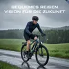 VTT électrique S800, moteur 250W, assistance électrique Voir les images du produit 11