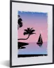 MuchoWow® MuchoWow® Gerahmtes Poster Boot - Palme - Nacht - Produktbild-Vorschau 1