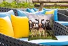 MuchoWow® Outdoor Kissen - Kühe - Weide - Tiere - Natur - Produktbild-Vorschau 4