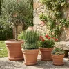 Teramico Blumentopf Terracotta "Doppio Bordo" frostfest Produktbild-Vorschau 3