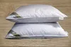 Two white pillows are stacked on a wooden surface.