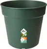 Zelený květináč Basic (17 cm) | Květináče od Elho, Náhled obrázku produktu 4