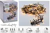 A product box and a close-up of LED string lights. Produktbild-Vorschau
