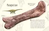 Wundervolle Welt der Dinosaurier und der Urzeit Produktbild-Vorschau 8
