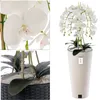 Künstliche Orchidee Kaskaden Blumenstrauß Weiß im Topf Weiß Produktbild-Vorschau 2