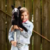 A young girl holding a hobby horse in front of a wooden fence. Anteprima dell’immagine prodotto