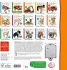 Écoute, qui peut être ce véhicule Voir les images du produit 3