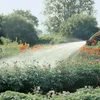 Gardena Profi-System-Spritz-Brause, 1 Stück(e) Produktbild-Vorschau 10