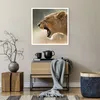 Poster - Poster ohne Rahmen - Löwe Löwin Reißzähne - 60x60 Produktbild-Vorschau 6