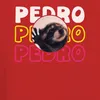 Pedro Pedro Pedro Tanzender Waschbär Meme Herren T-Shirt, Produktbild-Vorschau 3
