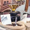 Kaffee Samen (Coffea arabica nana) - Immergrüner Produktbild-Vorschau 4