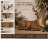 Formano Hirsch Deko Hirschfigur liegend 42cm Dekofigur aus Produktbild-Vorschau 5