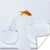 MuchoWow® Poster Goldfisch - Weiß - Fischglas 50x50 cm - Produktbild-Vorschau 1