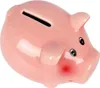 A pink ceramic piggy bank shaped like a pig, shown from a side angle against a white background. Náhľad obrázku produktu