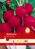 Artikelbild 1 von 'Radieschen Riesenbutter' aus der Kategorie Radieschensamen Podgląd zdjęcia produktu