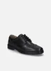 JOSEF SEIBEL Alastair 14 | Halbschuh für Herren | Schwarz Produktbild-Vorschau 17