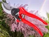 A pair of red pruning shears is shown in focus against a blurred background of green foliage and pink flowering branches. Podgląd zdjęcia produktu