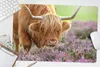 MuchoWow® Schreibtischunterlage Schottischer Highlander - Produktbild-Vorschau 5