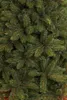 Triumph Tree Arbre de Noël artificiel Forest Frosted - Voir les images du produit 3