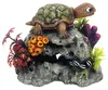 Nobby Décoration d'aquarium Tortue sur rocher avec plantes Voir les images du produit 1