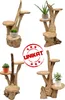 Teak Blumenständer Blumenpodest Pflanzentreppe Ständer Produktbild-Vorschau 3