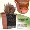 A cross-section of a plant pot showing its drainage system and a plant with its roots, with a close-up of the pot's interior structure. Produktbild-Vorschau