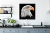 MuchoWow® Poster Seeadler - Porträt - Vogel - Seeadler Produktbild-Vorschau 3