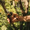 Fiskars P961 Powergear™ X Nožnice Záhradné Dvojčepeľové L Náhľad obrázku produktu 24