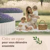 Floranica Bordure de jardin en bois flexible 40 x 200 cm Voir les images du produit 6