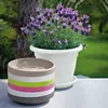 Piattino EURO3PLAST MEDEA 32cm antr. Anteprima dell’immagine prodotto 3