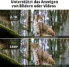 Two images of a lynx, one showing a video resolution and the other a photo resolution. Produktbild-Vorschau
